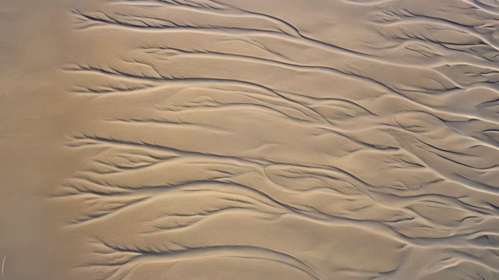 Roots and Paths: Intertwined Networks of Nature and Civilization